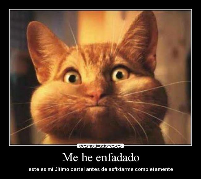 Me he enfadado - este es mi último cartel antes de asfixiarme completamente