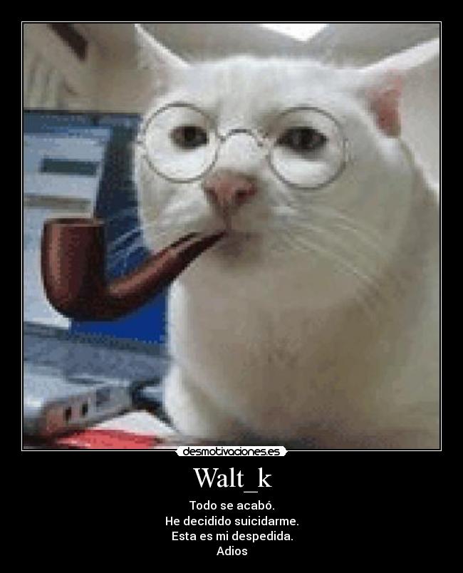 Walt_k - Todo se acabó.
He decidido suicidarme.
Esta es mi despedida.
Adios