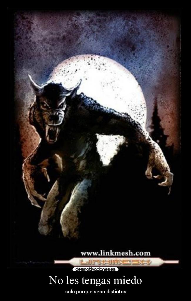 No les tengas miedo - 