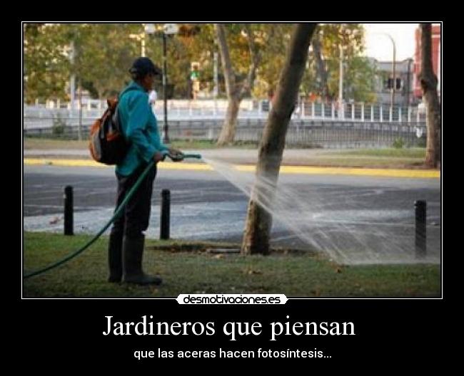 Jardineros que piensan  - que las aceras hacen fotosíntesis...