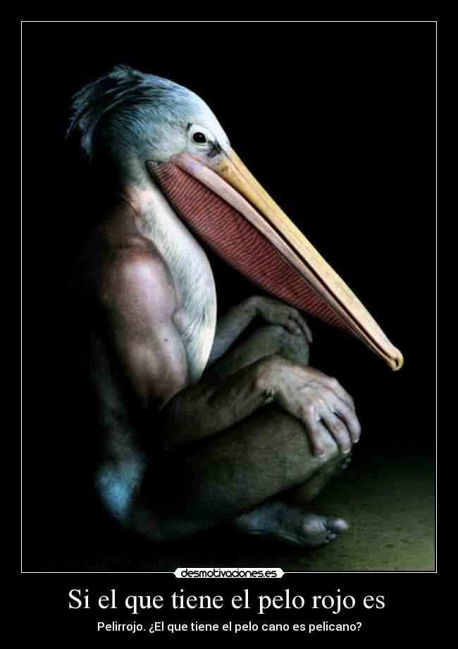 Si el que tiene el pelo rojo es - Pelirrojo. ¿El que tiene el pelo cano es pelicano?