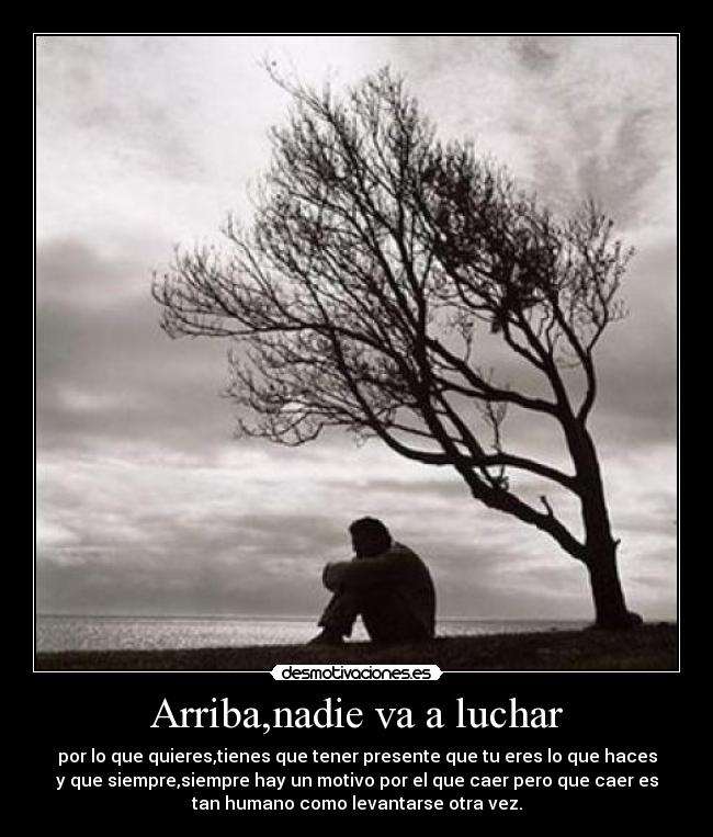 Arriba,nadie va a luchar - por lo que quieres,tienes que tener presente que tu eres lo que haces
y que siempre,siempre hay un motivo por el que caer pero que caer es
tan humano como levantarse otra vez.