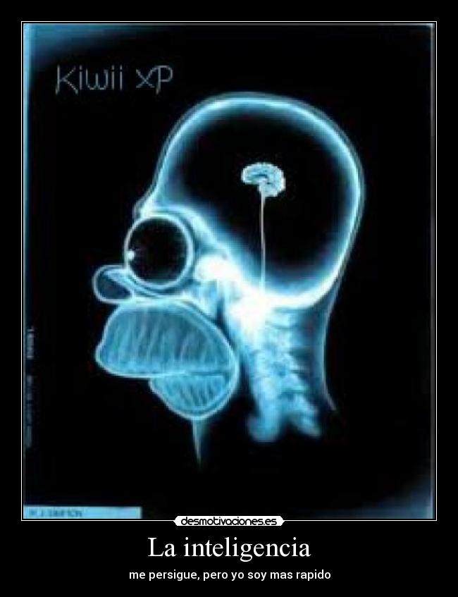 carteles inteligencia desmotivaciones