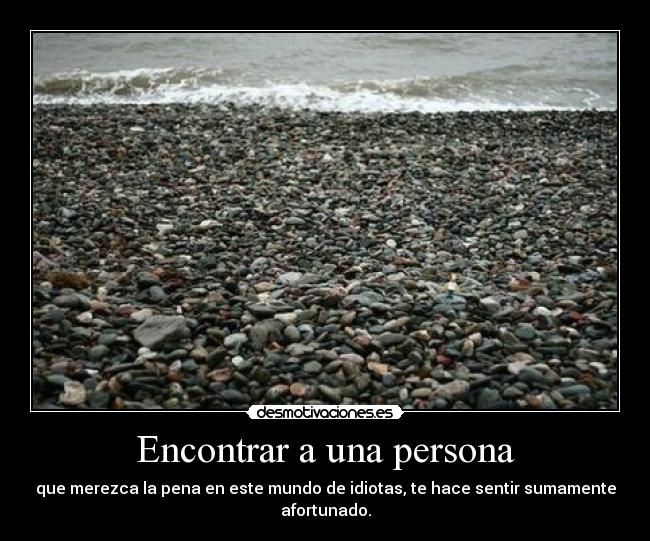 carteles idiotas desmotivaciones