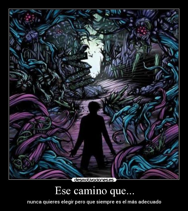 Ese camino que... -