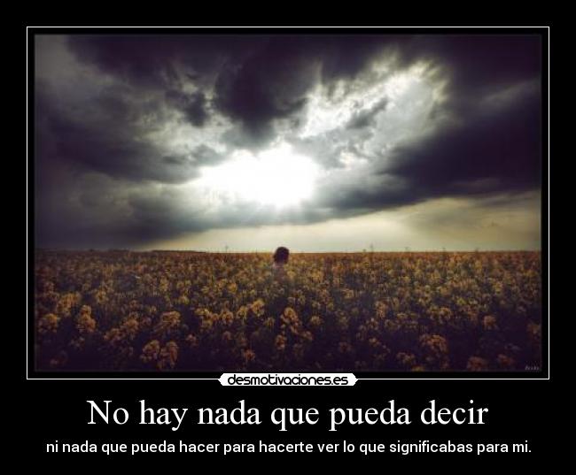No hay nada que pueda decir -