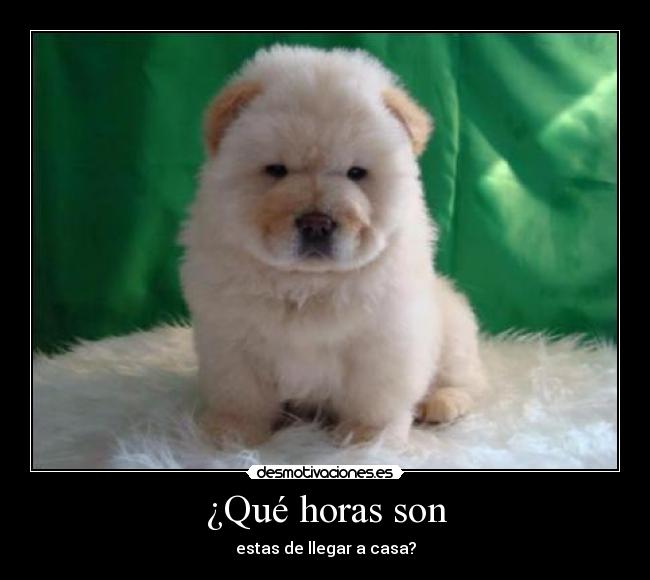 ¿Qué horas son - estas de llegar a casa?