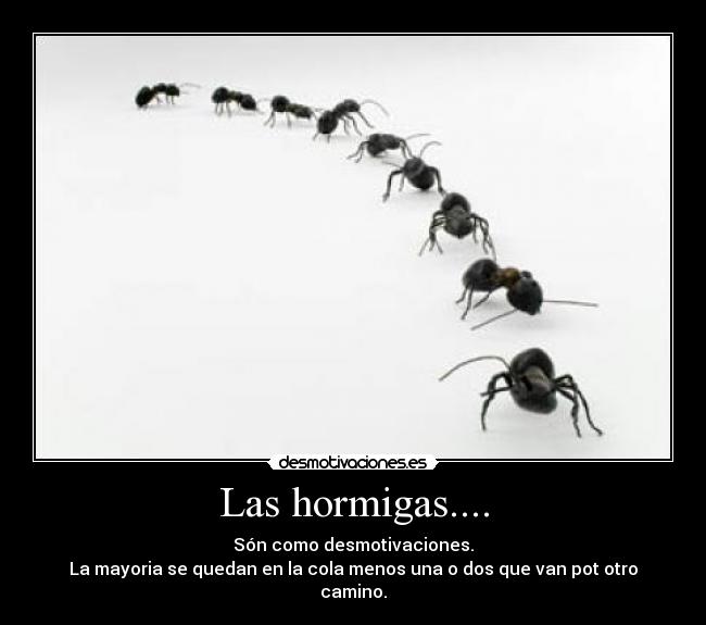 Las hormigas.... -