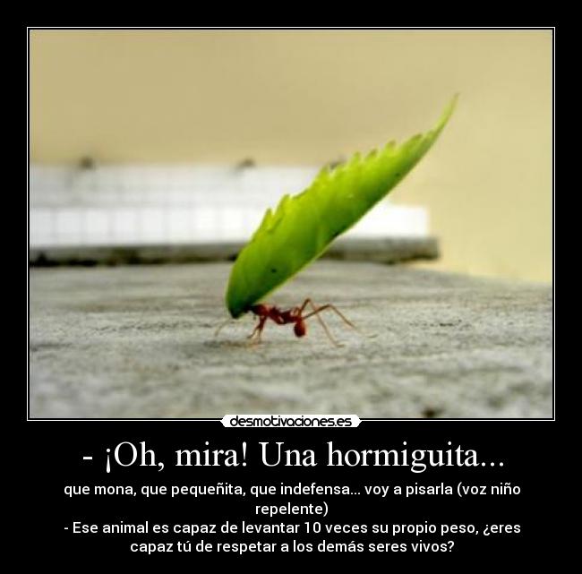 - ¡Oh, mira! Una hormiguita... - que mona, que pequeñita, que indefensa... voy a pisarla (voz niño
repelente)
- Ese animal es capaz de levantar 10 veces su propio peso, ¿eres
capaz tú de respetar a los demás seres vivos?