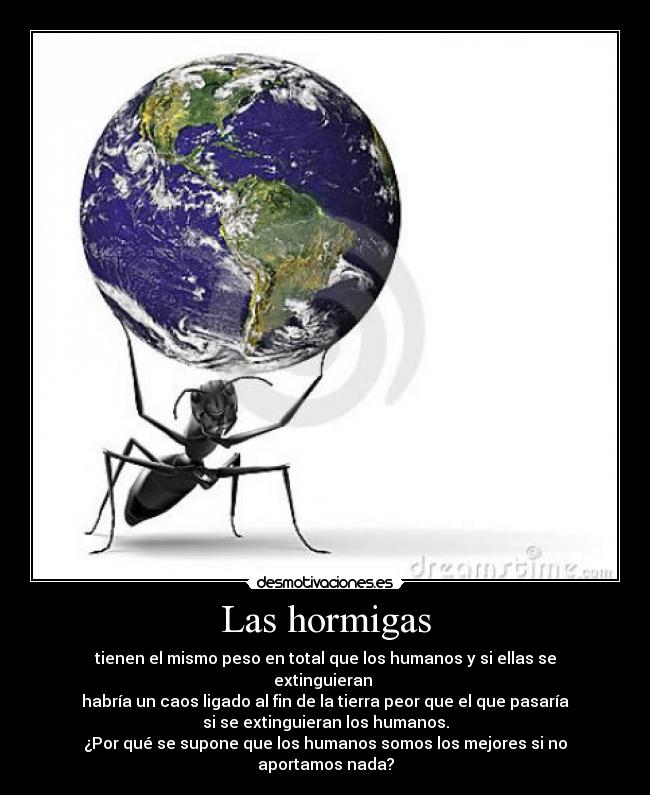 Las hormigas - tienen el mismo peso en total que los humanos y si ellas se
extinguieran 
habría un caos ligado al fin de la tierra peor que el que pasaría
si se extinguieran los humanos.
¿Por qué se supone que los humanos somos los mejores si no
aportamos nada?