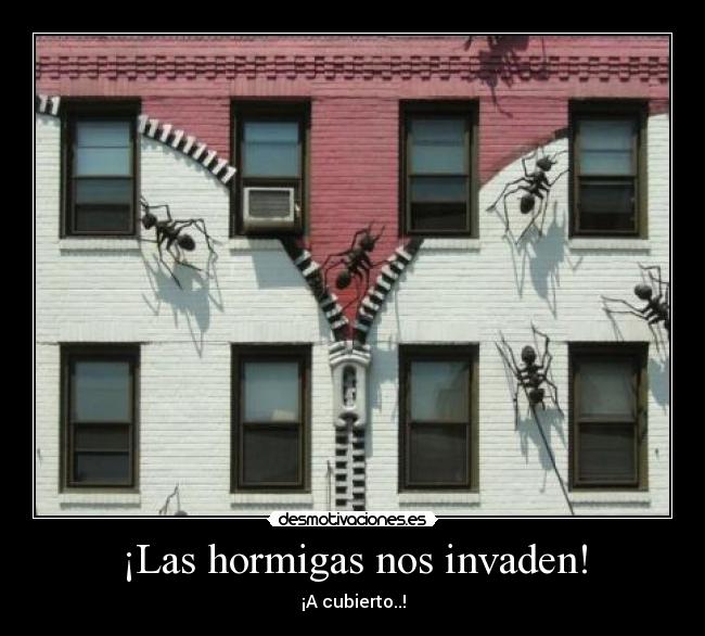 ¡Las hormigas nos invaden! - ¡A cubierto..!