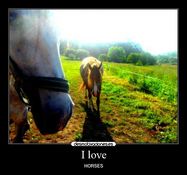 carteles yoppp desmotivaciones