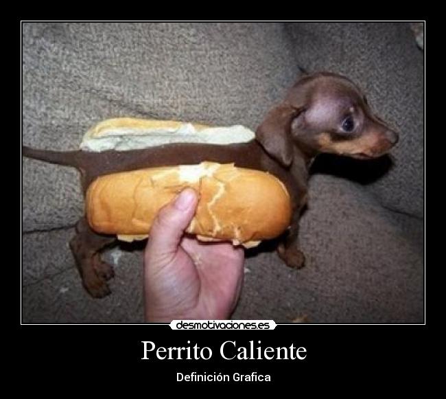 Perrito Caliente -