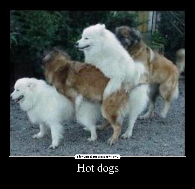 Hot dogs -