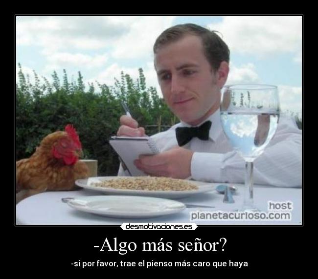 -Algo más señor? - -si por favor, trae el pienso más caro que haya