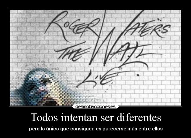 Todos intentan ser diferentes - pero lo único que consiguen es parecerse más entre ellos