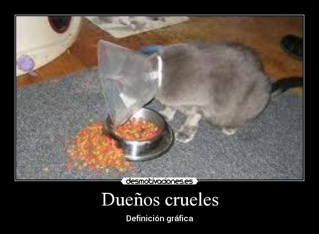 Dueños crueles - Definición gráfica