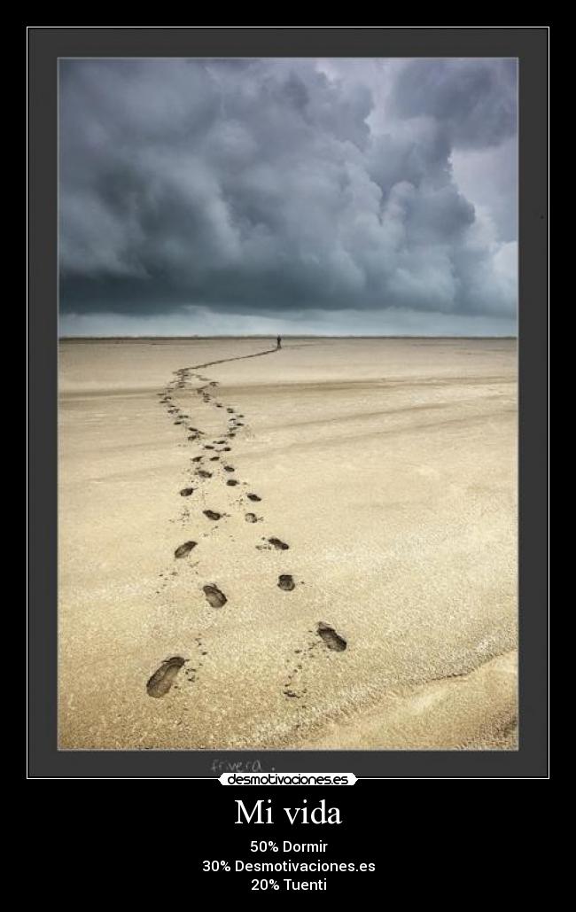 Mi vida - 50% Dormir
30% Desmotivaciones.es
20% Tuenti