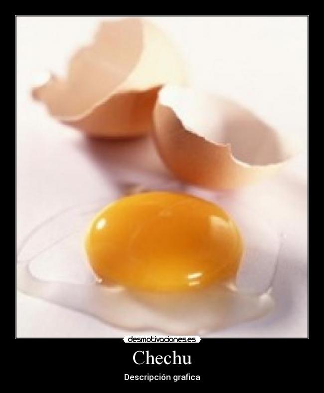 Chechu - Descripción grafica