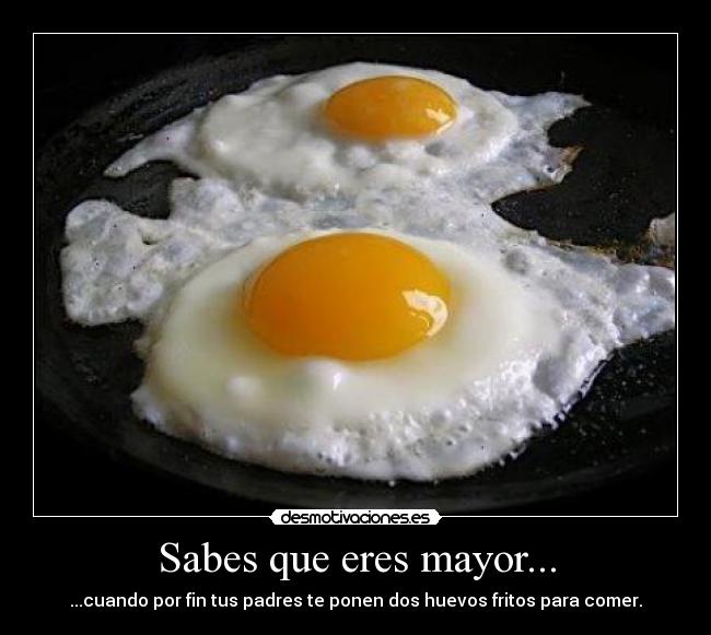carteles huevos fritos mayor padres por fin comer desmotivaciones