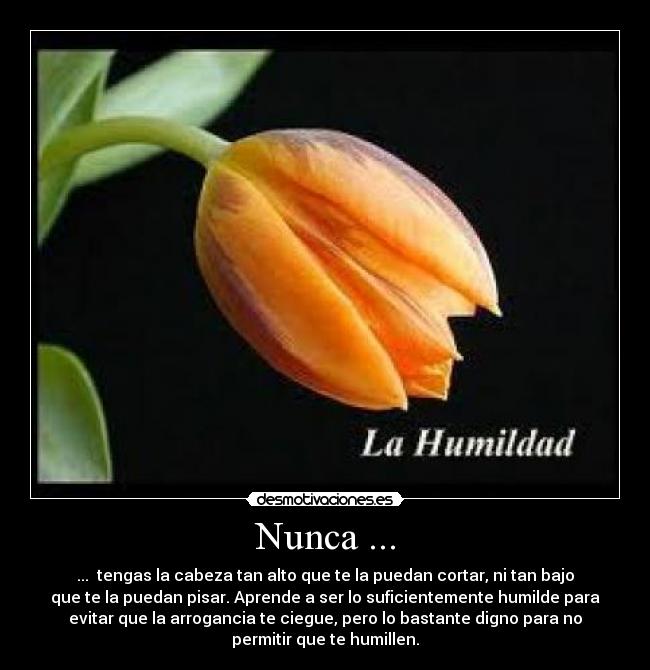 carteles cabeza alto cortar bajo humilde arrogancia humillen desmotivaciones