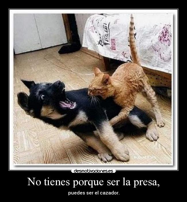 No tienes porque ser la presa, -