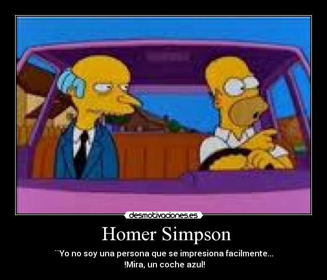  Homer Simpson - 