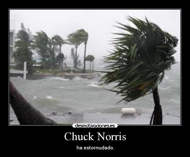 Chuck Norris -