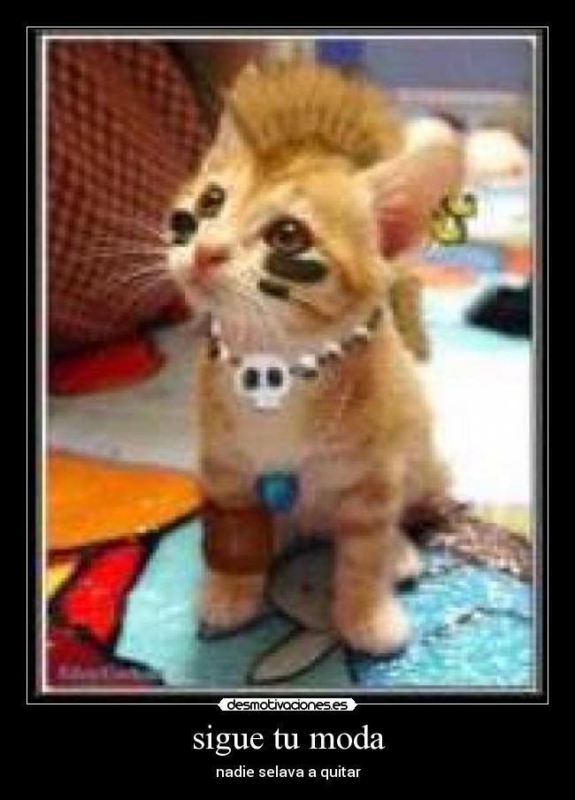 sigue tu moda - nadie selava a quitar