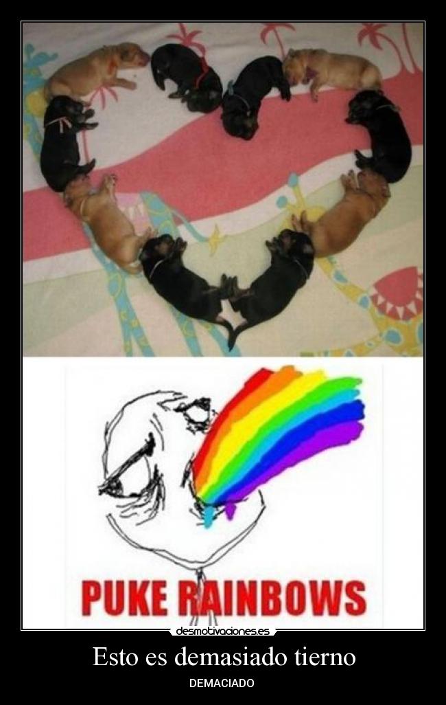 Esto es demasiado tierno -