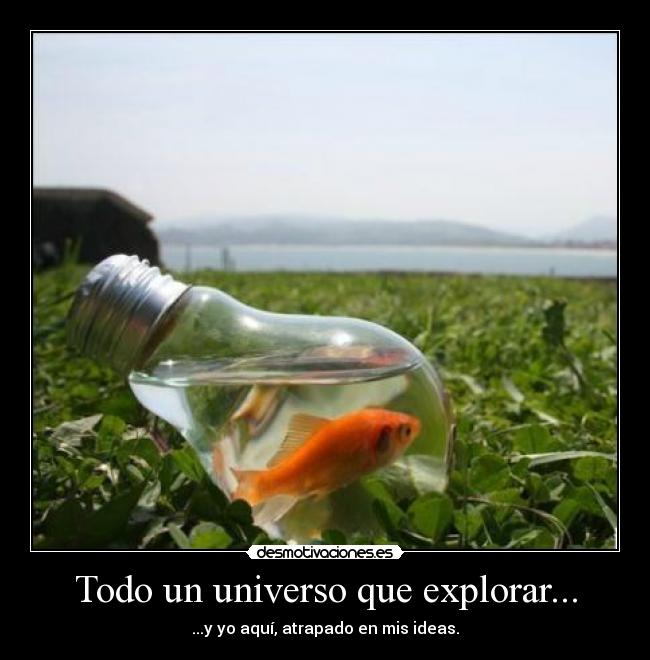 Todo un universo que explorar... -