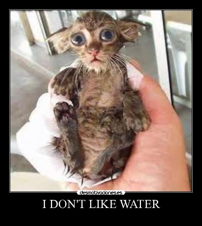 I DONT LIKE WATER - 