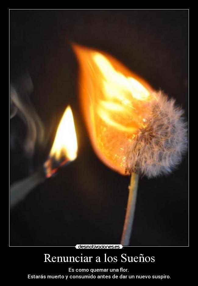 carteles renunciar los suenos desmotivaciones