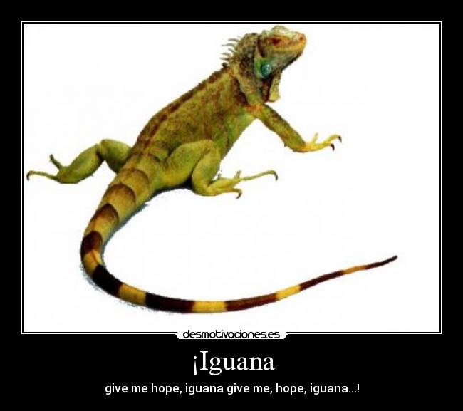 carteles iguana desmotivaciones