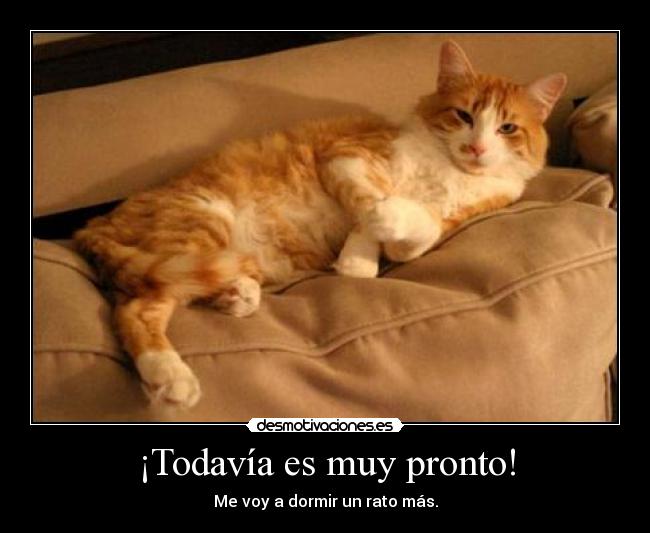 ¡Todavía es muy pronto! - Me voy a dormir un rato más.