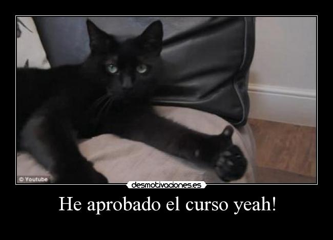 He aprobado el curso yeah! -