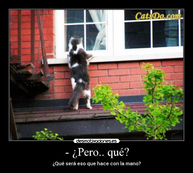 - ¿Pero.. qué? - ¿Qué será eso que hace con la mano?