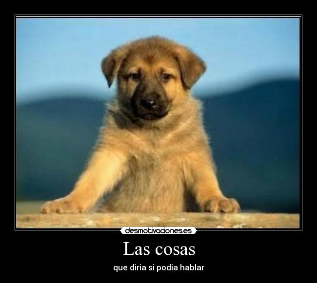 Las cosas - que diria si podia hablar