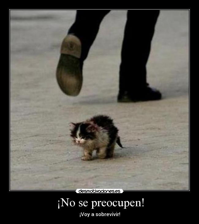¡No se preocupen! -