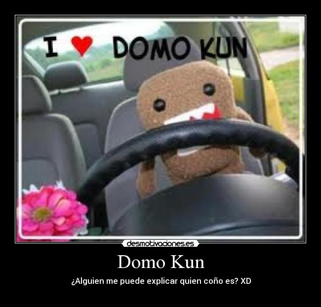 Domo Kun - 