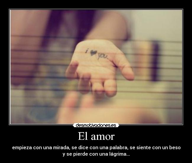 El amor - 