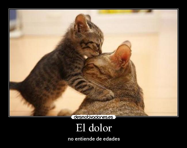 El dolor - 