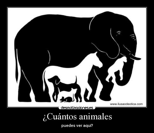 ¿Cuántos animales - puedes ver aquí?
