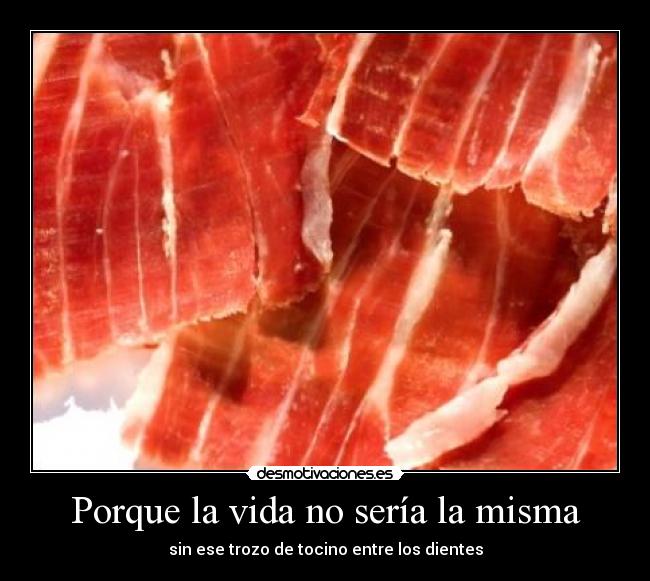 carteles vida jamon trozo tocino vida desmotivaciones