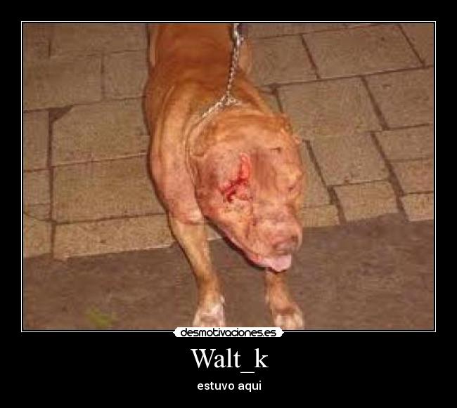 Walt_k -