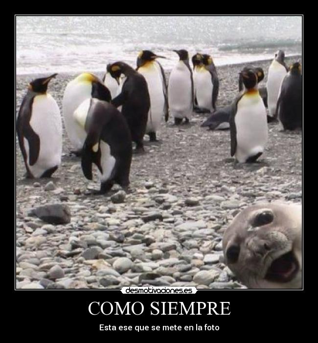 COMO SIEMPRE - Esta ese que se mete en la foto