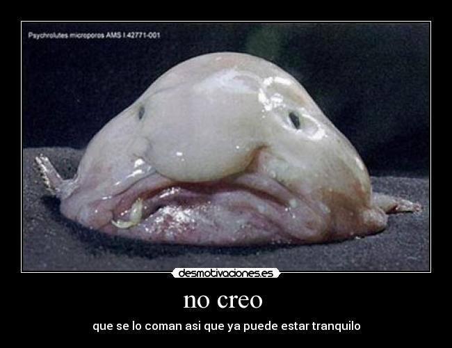 no creo  - 