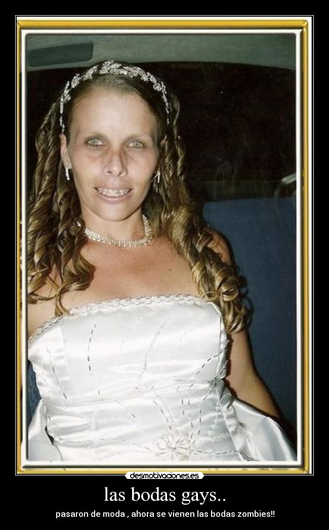 las bodas gays.. - 