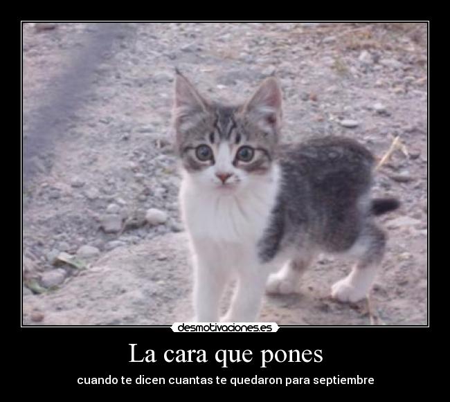 La cara que pones - cuando te dicen cuantas te quedaron para septiembre