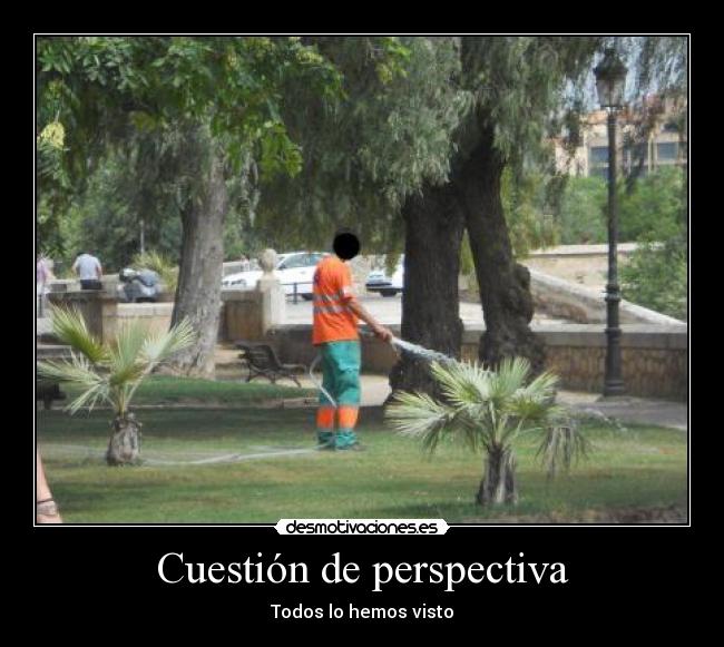 Cuestión de perspectiva -